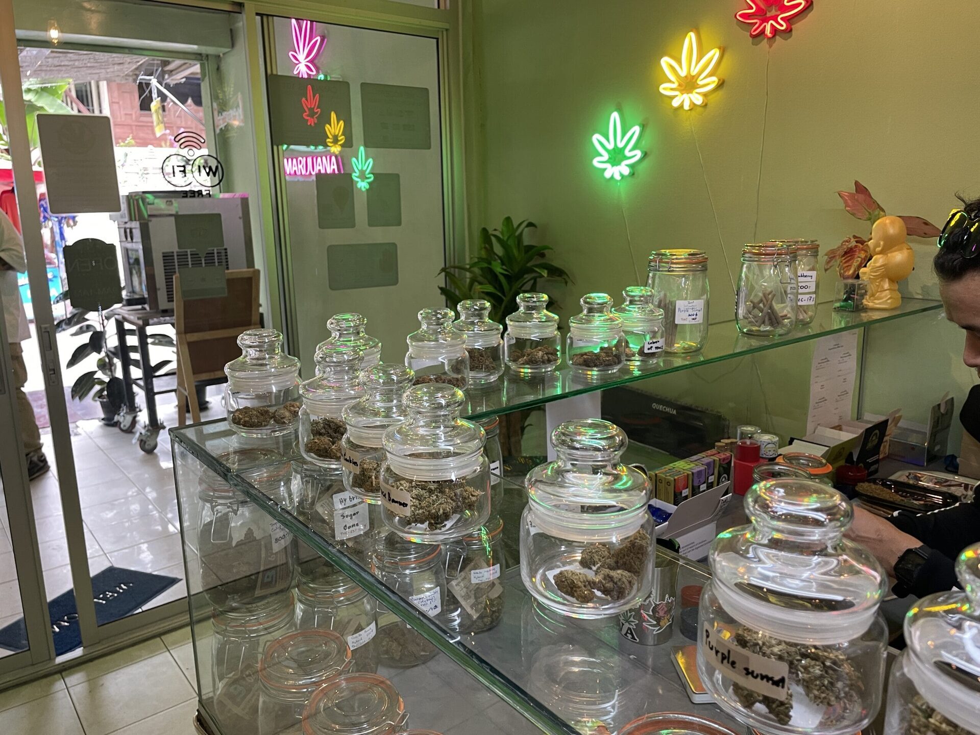 let's High 420店內進口大麻品種展示