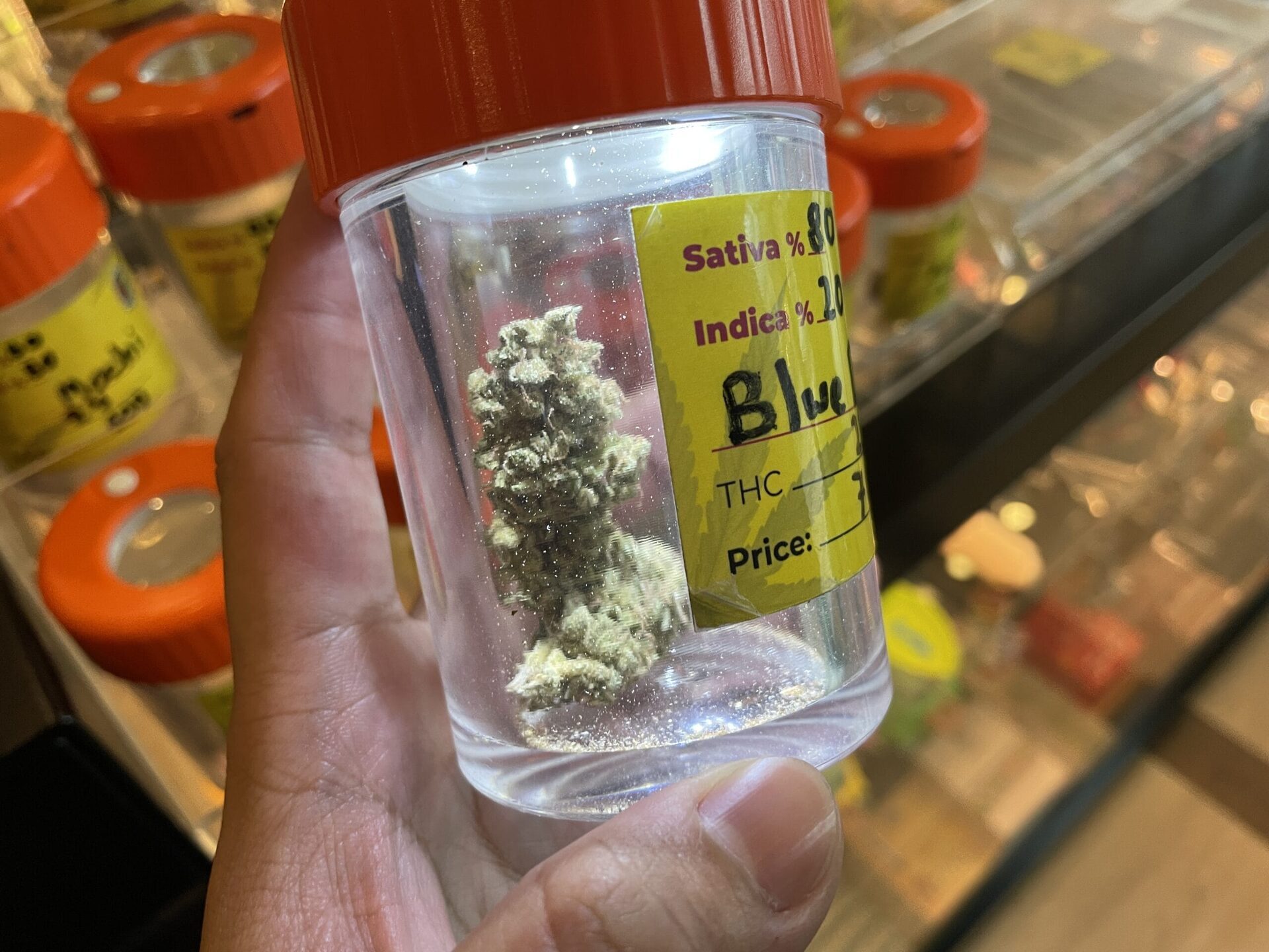 The Old Weed Man店內Blue Dream大麻花特寫