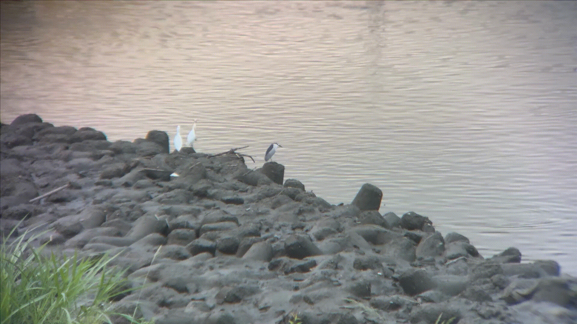 30596043 23f2 44ad 9b4c 5c0c8f4f6036.gif