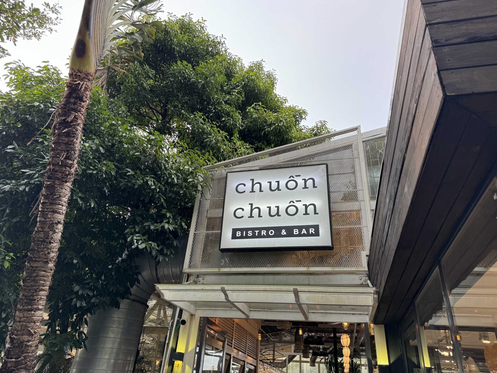 chuonchuon 2